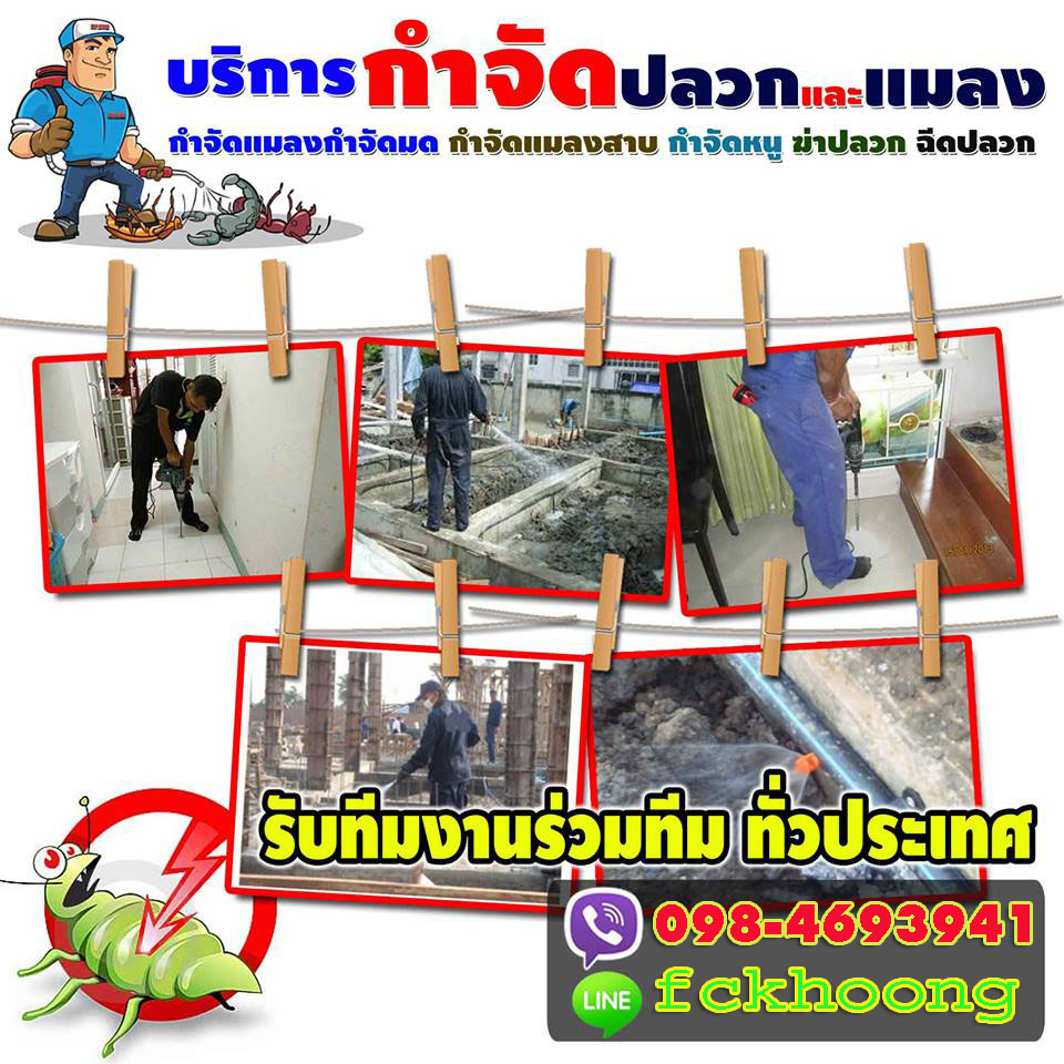 8 จุดเสี่ยง! เลี่ยงปลวกกินบ้าน