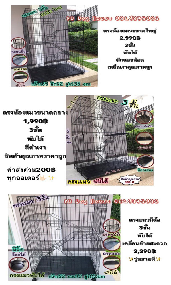 จะทำอย่างไร เมื่อต้องปล่อยให้สัตว์เลี้ยงอยู่บ้านเพียงลำพัง