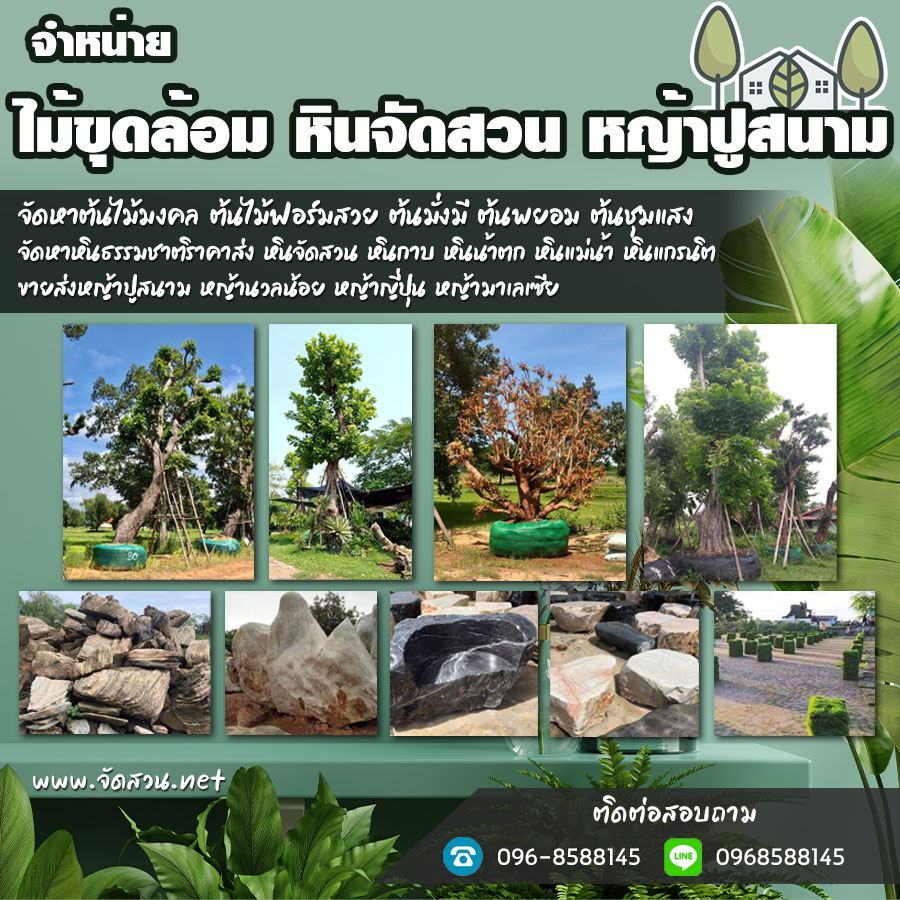 10 ประโยชน์ของการจัดสวนที่บ้าน
