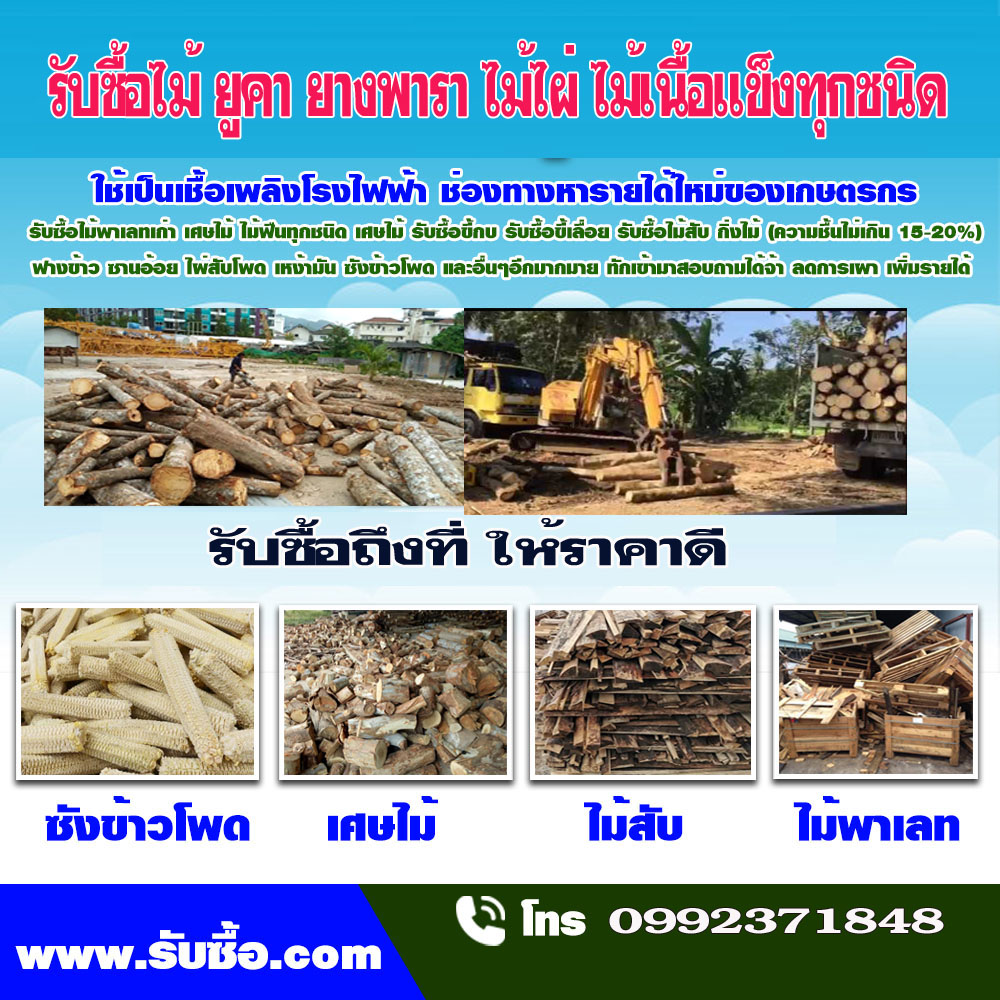 รับซื้อไม้ยางพาราประจวบคีรีขันธ์  