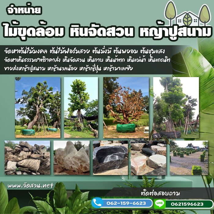 หินเทียมเขตราชเทวี 